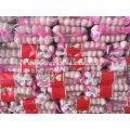 Ail blanc pur 5P * 16 / 5P * 12 sac en filet Chine Jinxiang ail frais